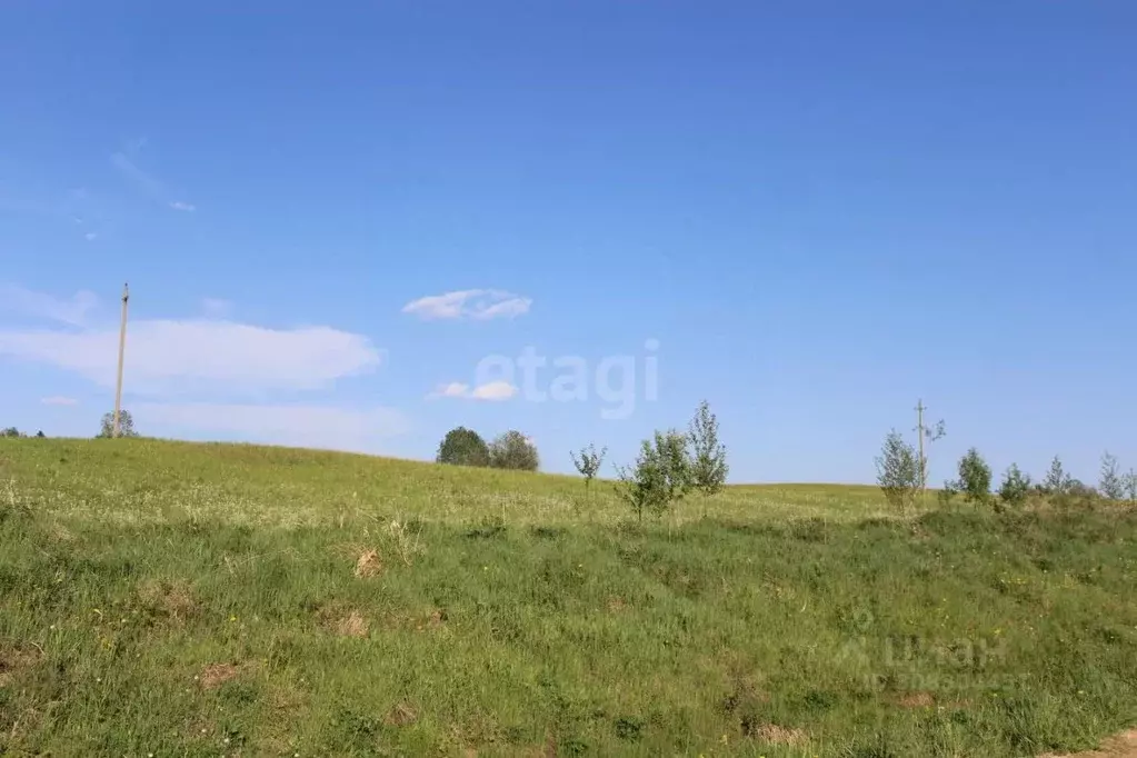 Участок в Вологодская область, Белозерск Советский просп. (634.0 сот.) - Фото 0