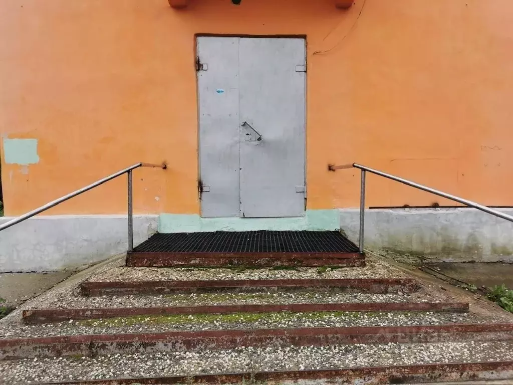 Помещение свободного назначения в Челябинская область, Коркино ул. ... - Фото 2