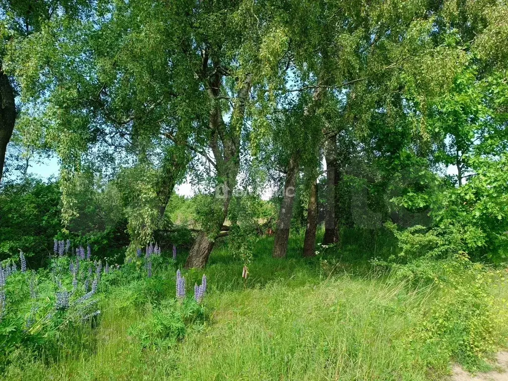 Участок 6 сот. (СНТ, ДНП) - Фото 1