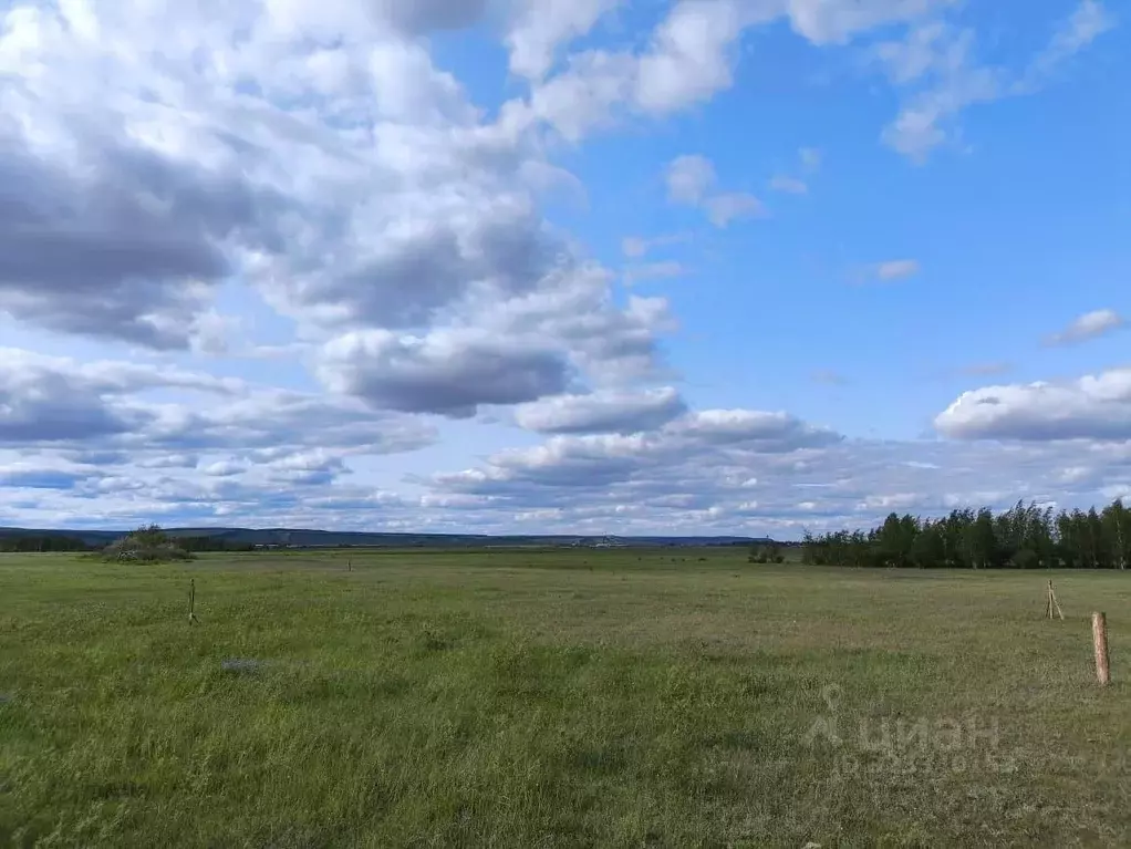 Участок в Саха (Якутия), Якутск городской округ, с. Владимировка ул. ... - Фото 2