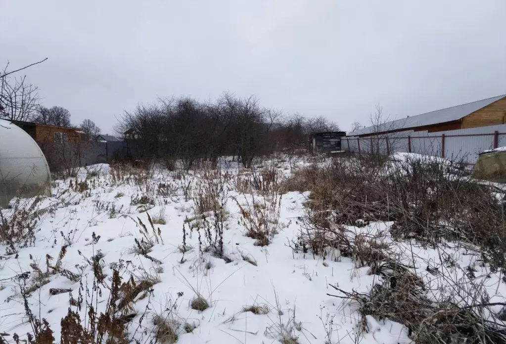 Участок в Московская область, Коломна городской округ, с. Пирочи ул. ... - Фото 1