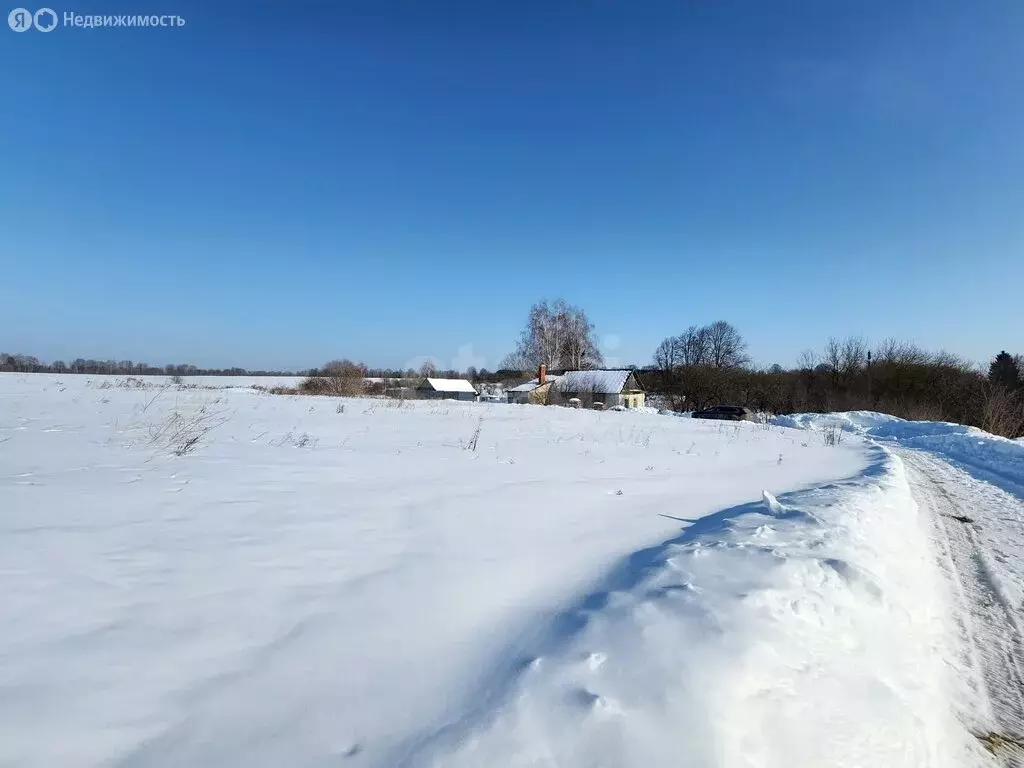 Участок в деревня Меркульево, улица Ленина (40 м) - Фото 1