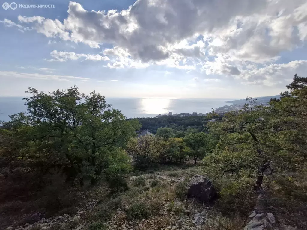 Участок в Республика Крым, муниципальный округ Ялта, посёлок ... - Фото 2