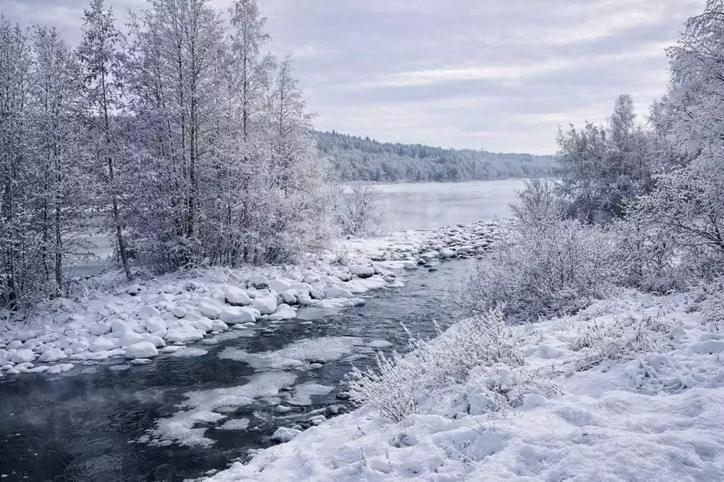 Участок в Ленинградская область, Подпорожское городское поселение, д. ... - Фото 2