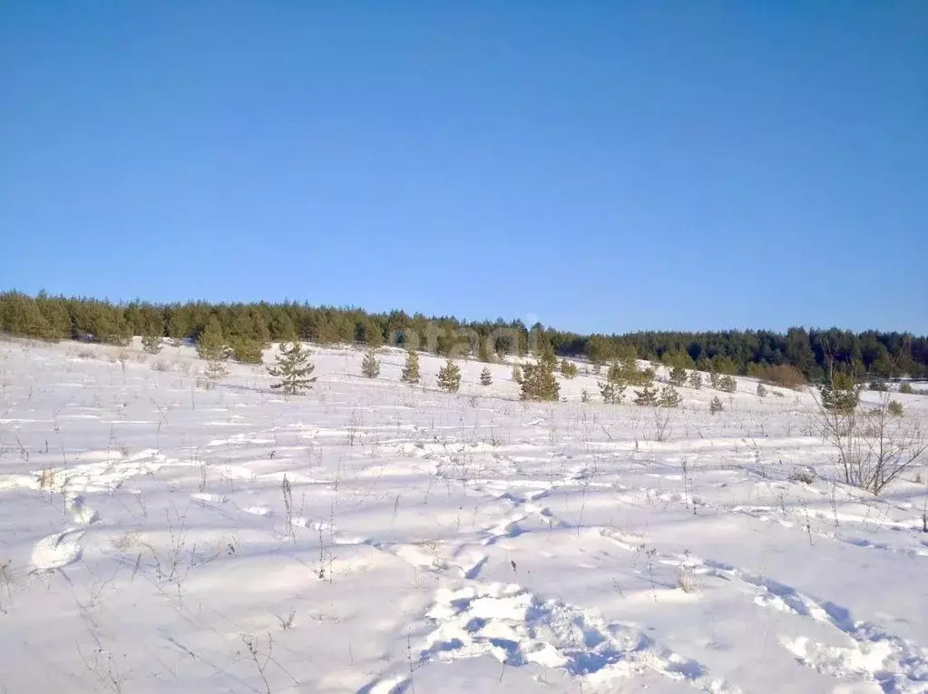 Участок в Ульяновская область, Тереньгульский район, Подкуровское ... - Фото 0