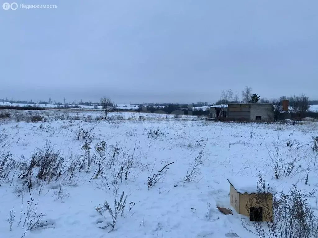 Участок в деревня Колтово, Западная улица (20 м) - Фото 2