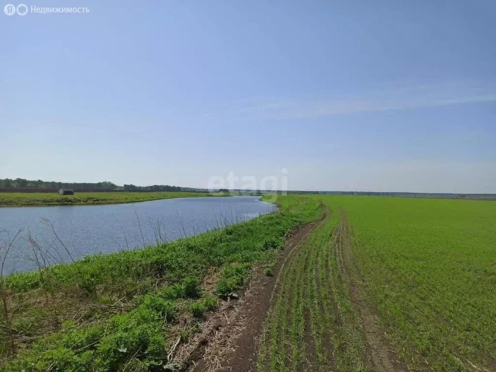 Участок в Томский район, село Вершинино (620 м) - Фото 1