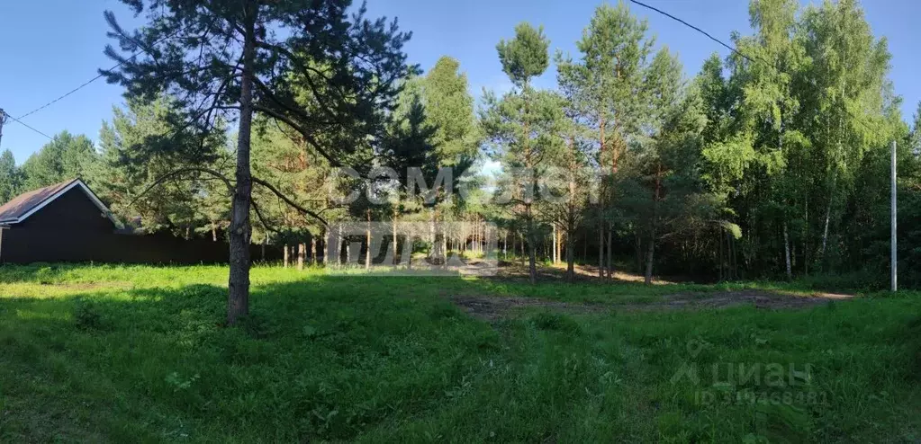 Участок в Нижегородская область, Богородский муниципальный округ, д. ... - Фото 0