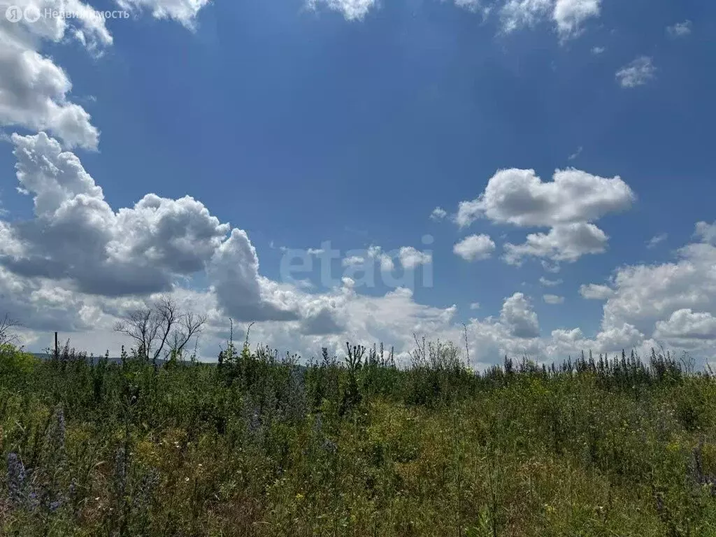 Участок в Сунженский район, станица Троицкая (20 м) - Фото 2