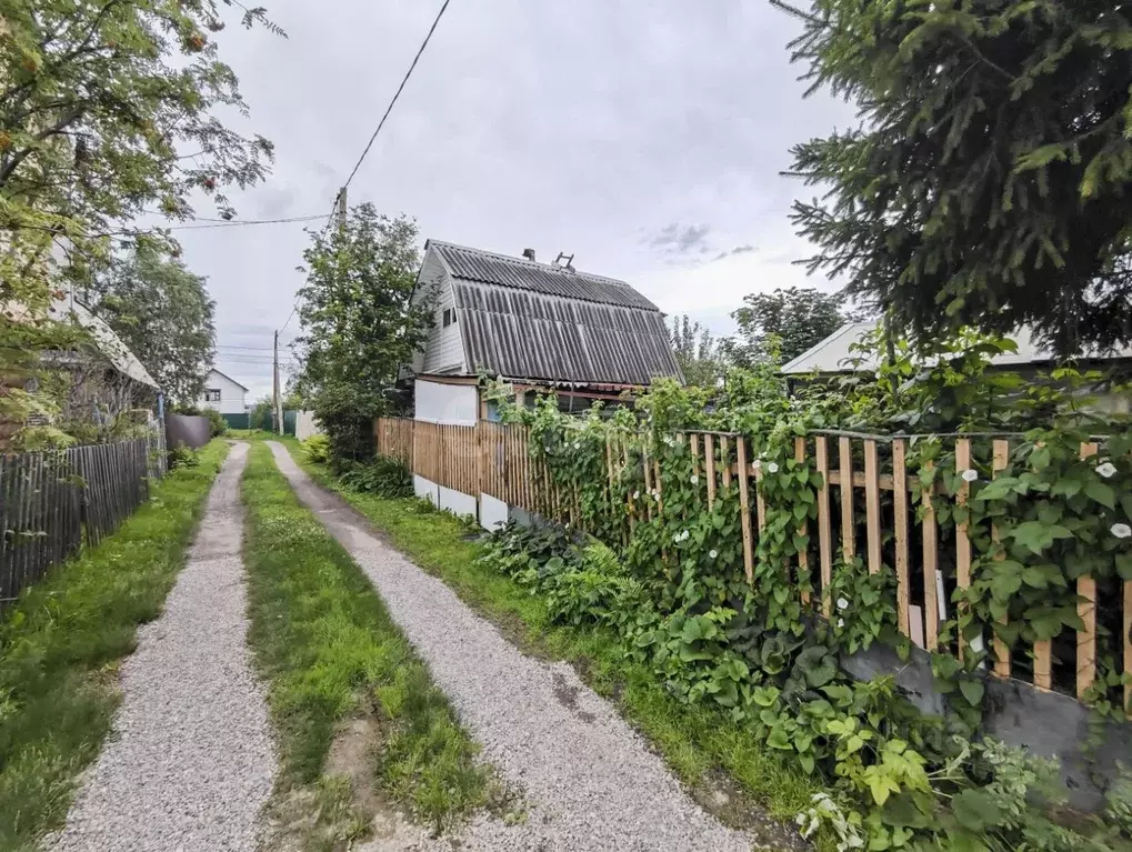 Дом в Тюменская область, Тюмень Строитель-3 СНТ, ул. Солнечная (36 м) - Фото 1