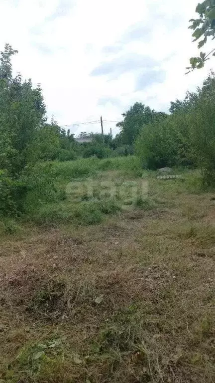 Участок в Мишкинское сельское поселение, садоводческое товарищество ... - Фото 0