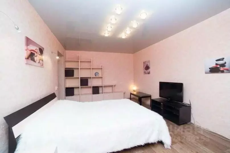 1-к кв. Челябинская область, Челябинск ул. Энтузиастов, 15 (38.0 м) - Фото 2