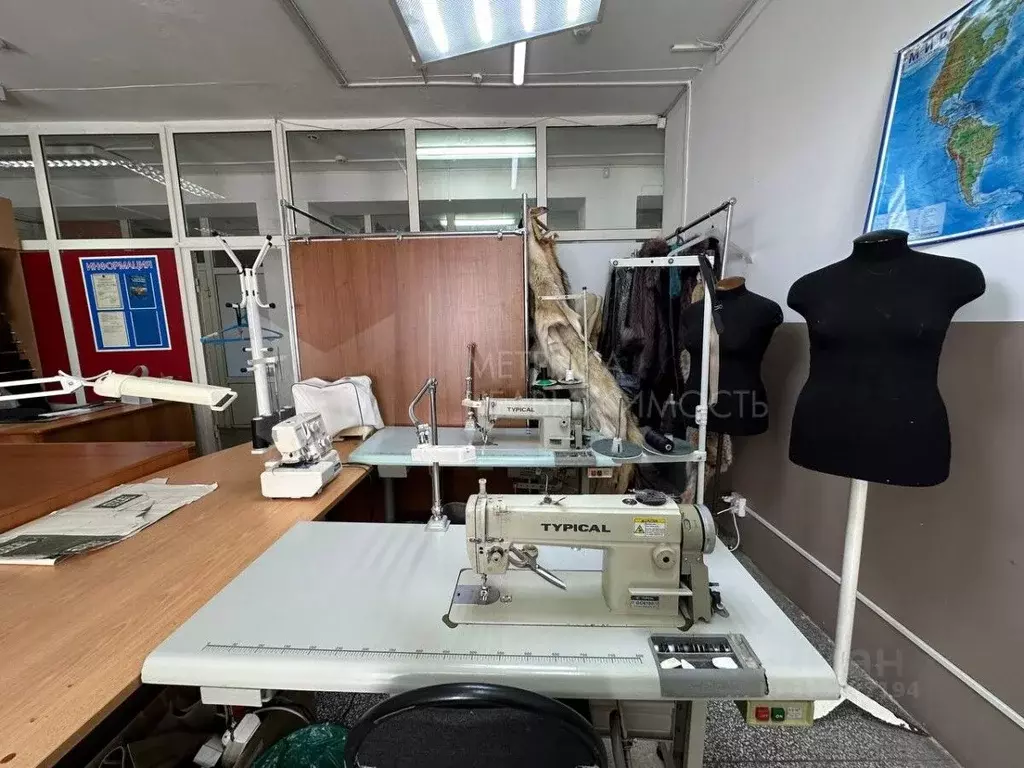 Помещение свободного назначения в Тюменская область, Тюмень ул. ... - Фото 1