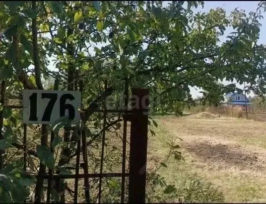 Участок в Тамбовская область, Тамбовский муниципальный округ, Ветеран ... - Фото 1