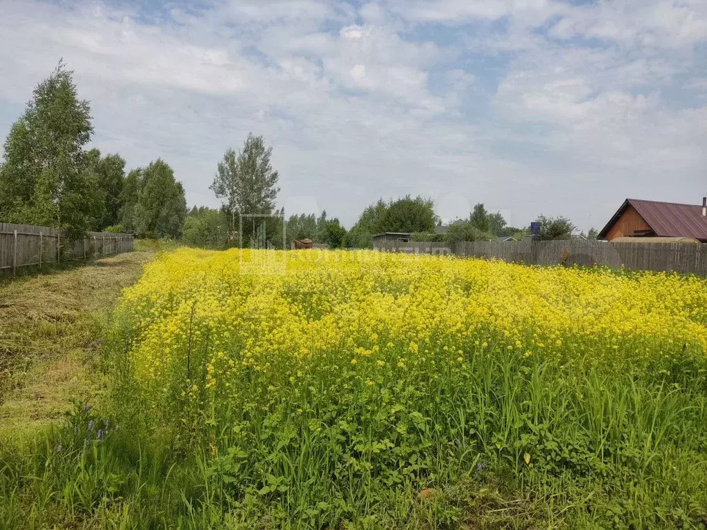 Дом 40 м на участке 19 сот. - Фото 0