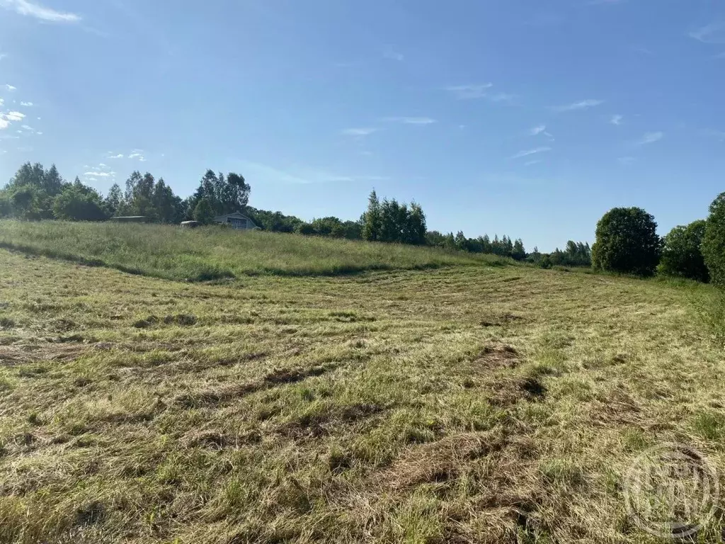 Участок в Ленинградская область, Лужский район, Торковичское с/пос, д. ... - Фото 1
