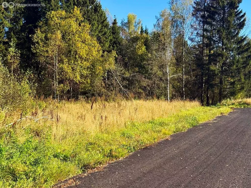 Участок в Московская область, Дмитровский муниципальный округ, КП ... - Фото 2