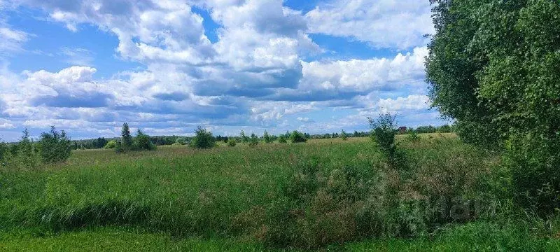 Участок в Московская область, Раменский муниципальный округ, 36 кв-л 3 ... - Фото 1