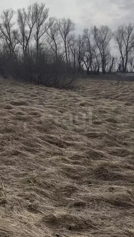 Участок в Калининградская область, Зеленоградский муниципальный округ, ... - Фото 2