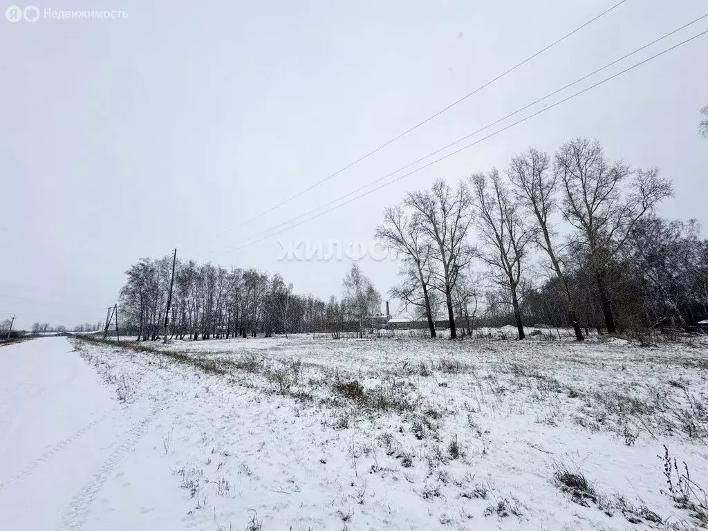 Участок в село Боровое, Рабочая улица (6.03 м) - Фото 1