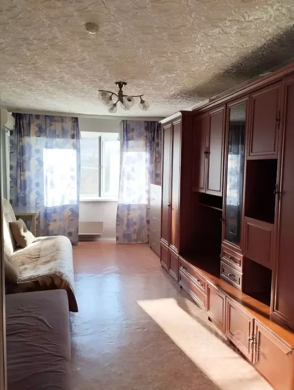 2-к кв. Новосибирская область, Новосибирск ул. Блюхера, 67 (36.2 м) - Фото 1