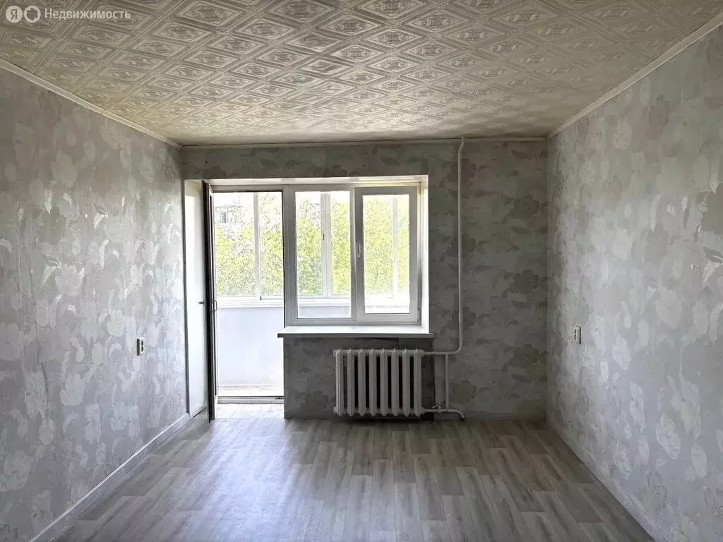 1-комнатная квартира: Лесной, улица Фрунзе, 2 (31.6 м) - Фото 1