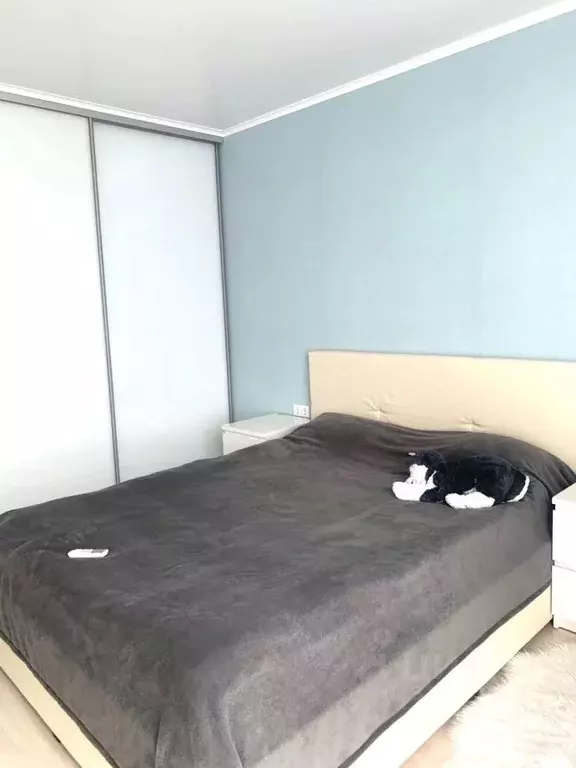 1-к кв. Ростовская область, Ростов-на-Дону просп. Ленина, 243/1 (49.0 ... - Фото 2