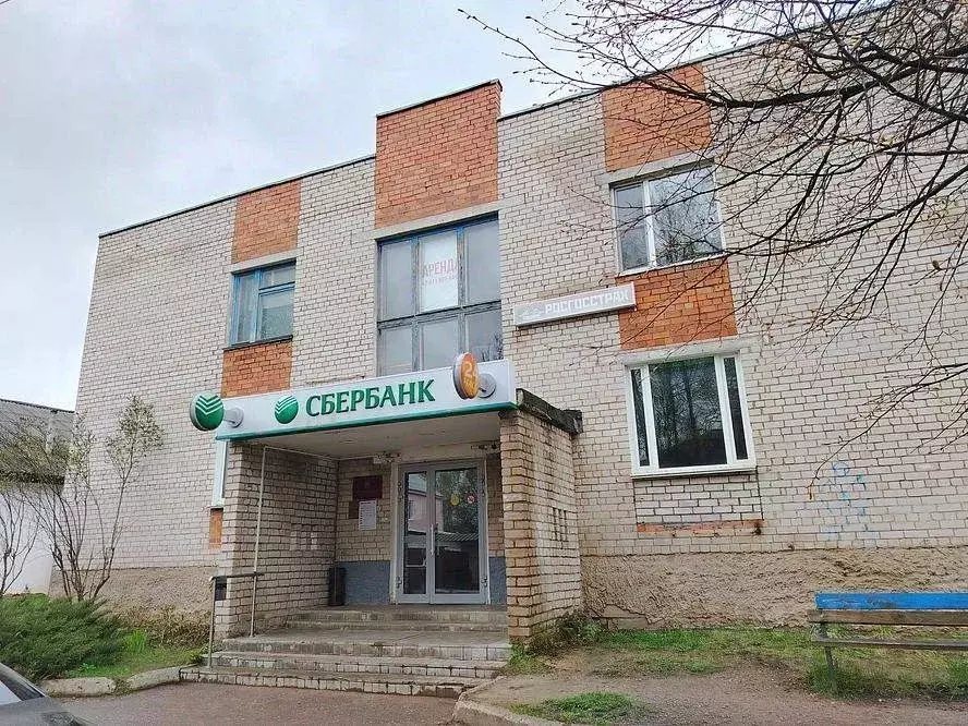 Помещение свободного назначения в Псковская область, Локня рп ул. ... - Фото 1