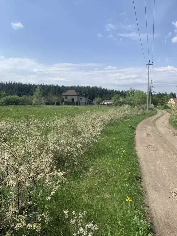 Дом в Липецкая область, Задонский муниципальный округ, с. Кашары ул. ... - Фото 1
