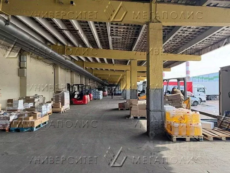 Офис в Москва Рябиновая ул., 47С13 (144 м) - Фото 2