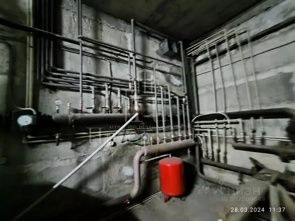 Помещение свободного назначения в Северная Осетия, Владикавказ ул. ... - Фото 1
