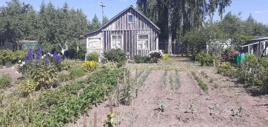 Купить Дачу Снт В Ивановском Районе