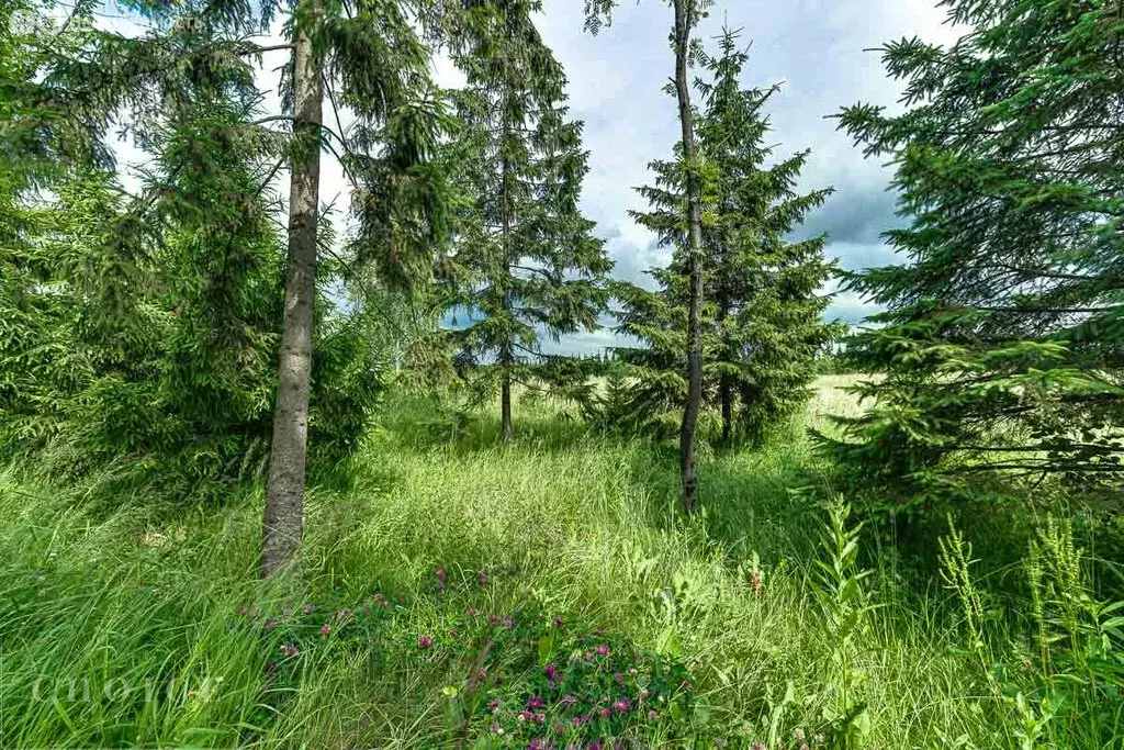 Участок в деревня Солослово, КП Заря (15 м) - Фото 1