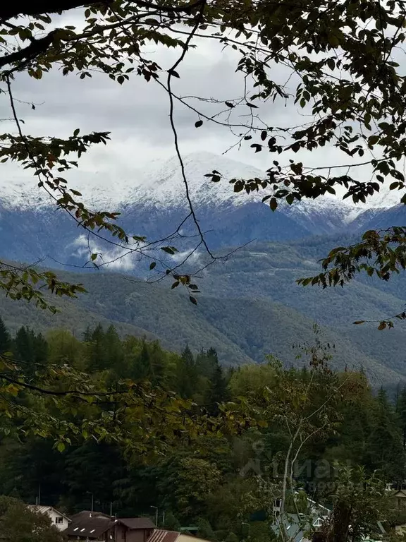 Участок в Краснодарский край, Сочи городской округ, Красная Поляна пгт ... - Фото 1
