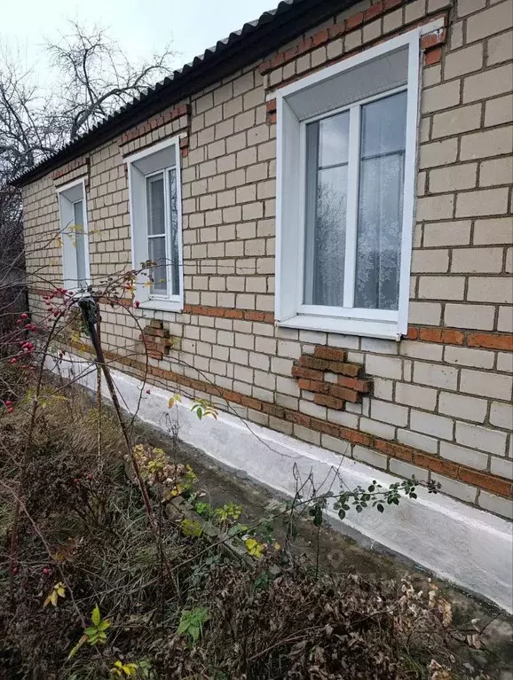 Дом в Курская область, Черемисиново рп ул. Кооперативная (90 м) - Фото 1