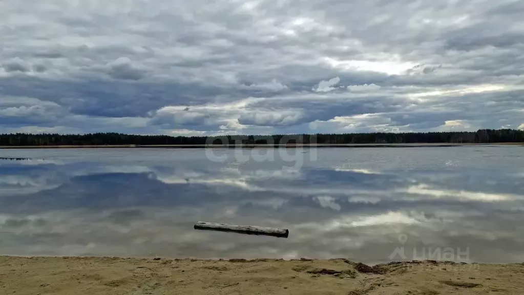 Участок в Нижегородская область, Навашинский муниципальный округ, с. ... - Фото 1