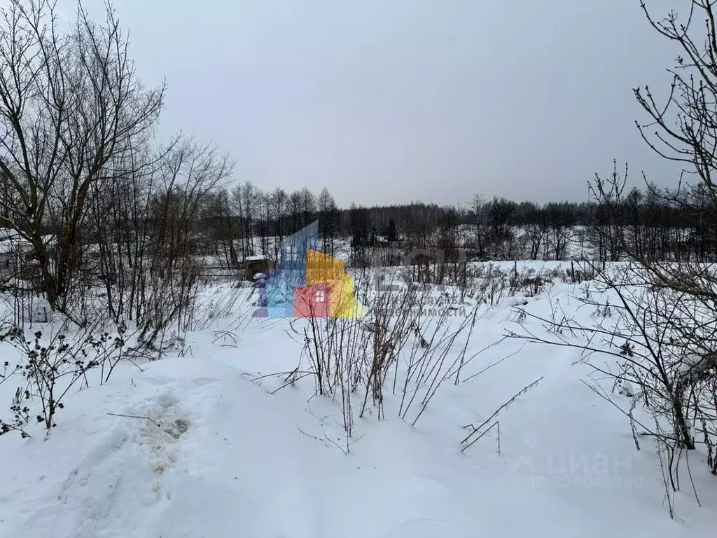 Дом в Тульская область, Тула городской округ, д. Новоселки 22 (50 м) - Фото 2