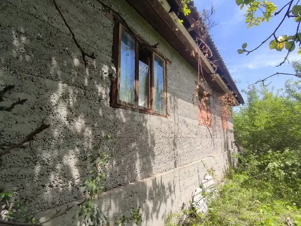 Дом в Воронежская область, Борисоглебский городской округ, с. Чигорак ... - Фото 1