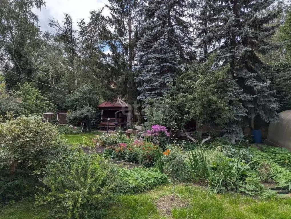Дом в Свердловская область, Екатеринбург Березовая Роща-1 СНТ,  (50 м) - Фото 1