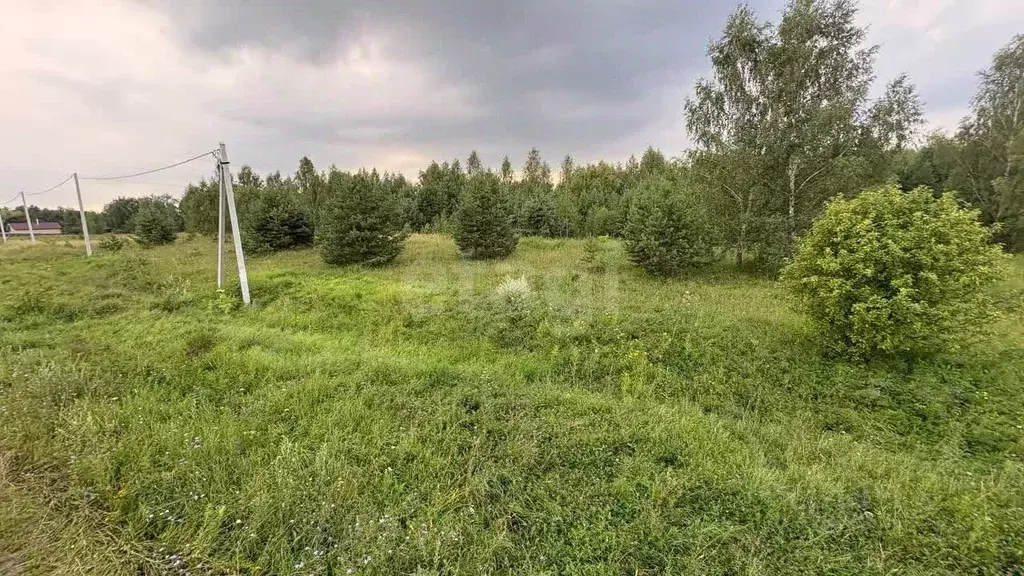 Участок в Московская область, Серпухов городской округ, д. Сенькино ... - Фото 1