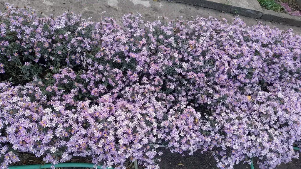 Дом в Астраханская область, Астрахань  (85 м) - Фото 2