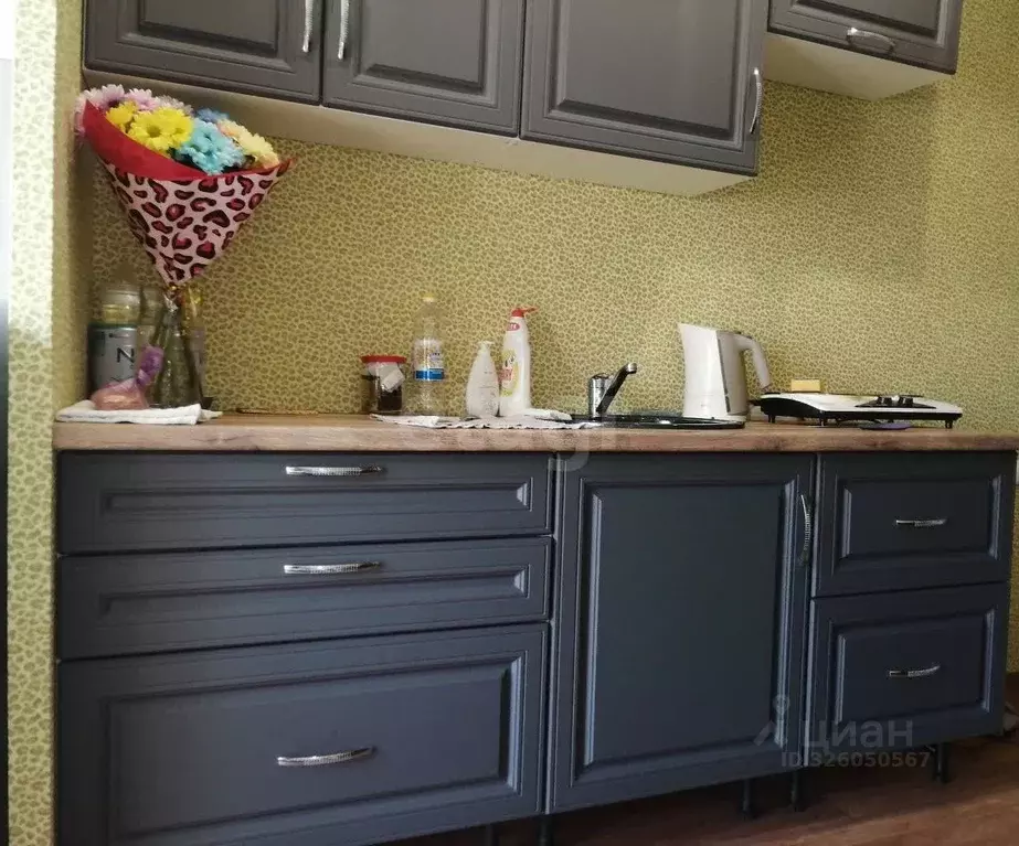 Студия Камчатский край, Елизовский муниципальный округ, пос. ... - Фото 2