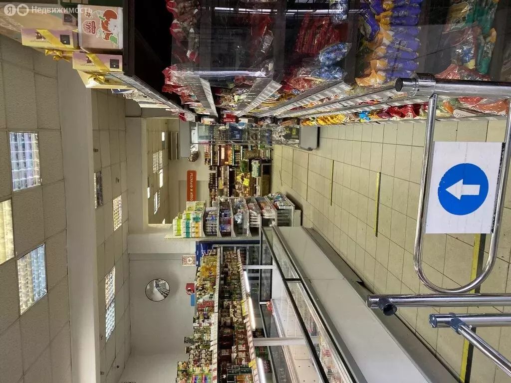 Помещение свободного назначения (239.5 м) - Фото 2