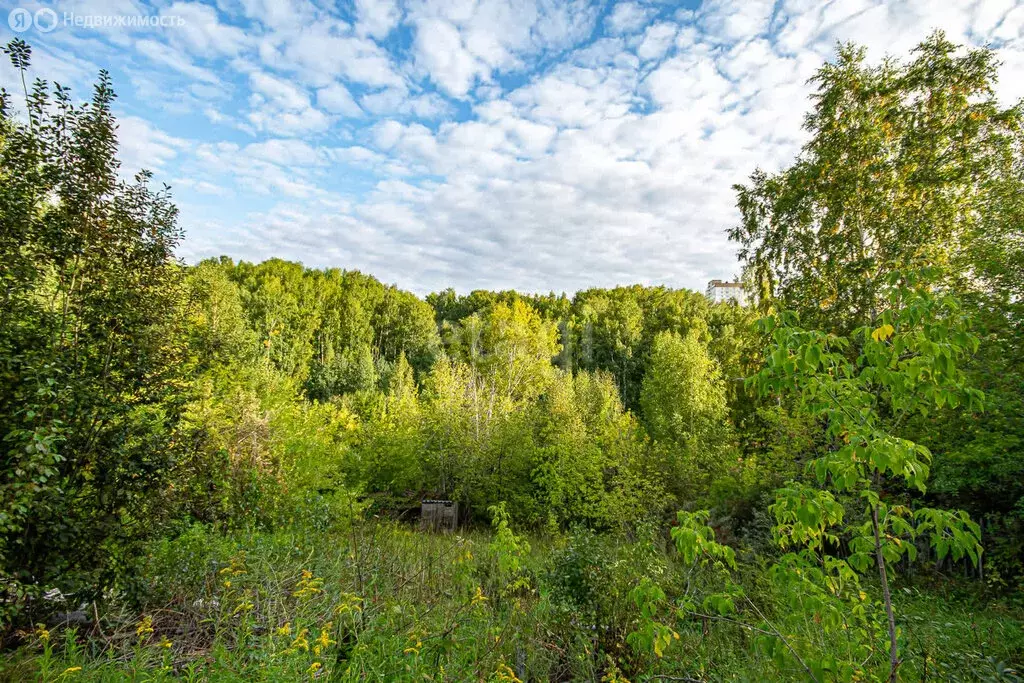 Участок в Новосибирск, садовое товарищество Комета-Берёзка (4.6 м) - Фото 0