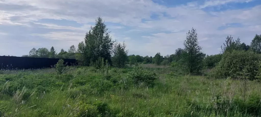 Участок в Владимирская область, Судогда Фестивальная ул., 19 (19.4 ... - Фото 1