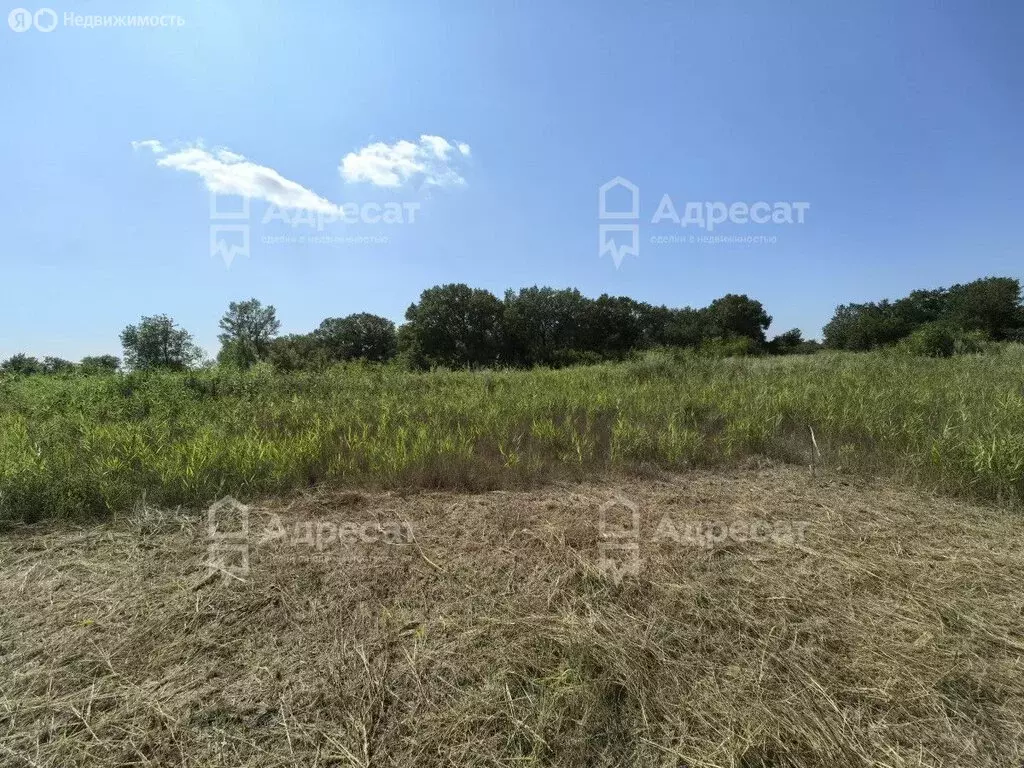 Участок в Краснослободск, Березовая улица (4 м) - Фото 0