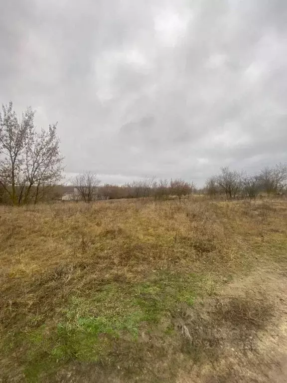 Участок в Саратовская область, Татищево рп ул. Зеленая (6.6 сот.) - Фото 1