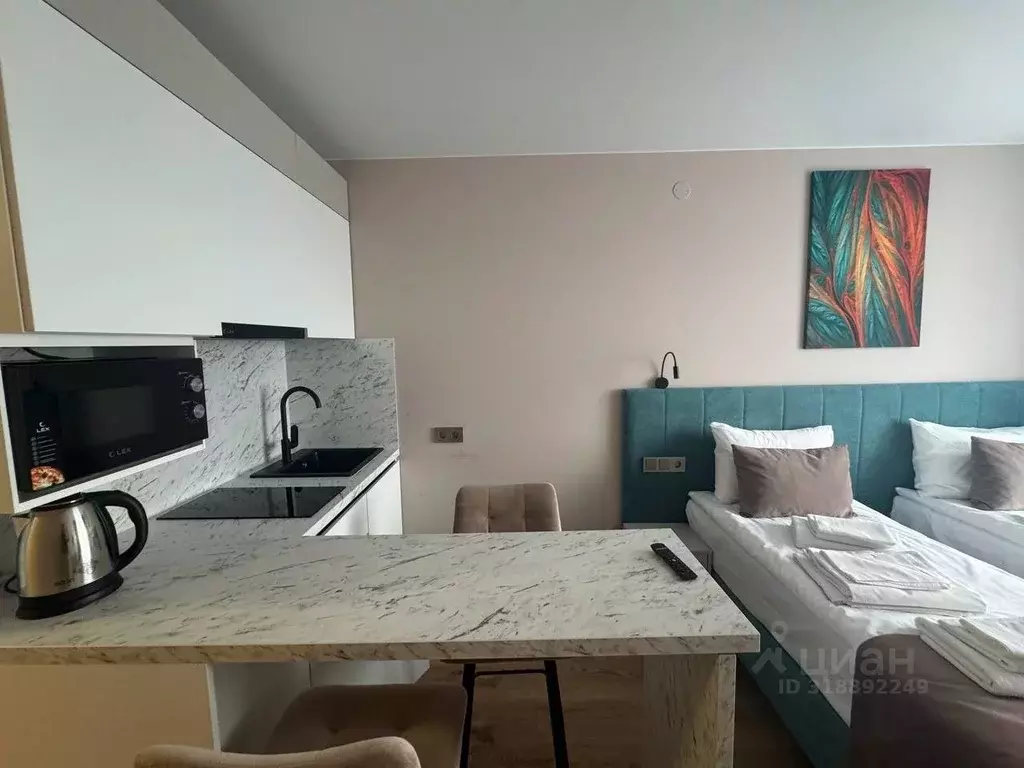 Студия Санкт-Петербург просп. Стачек, 64 (25.0 м) - Фото 1
