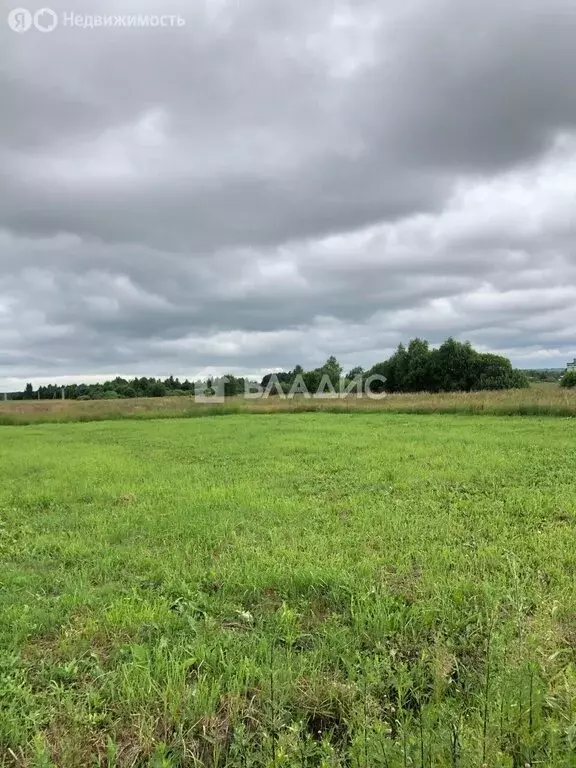 Участок в село Бабаево, Грибная улица, 9 (11.49 м) - Фото 1