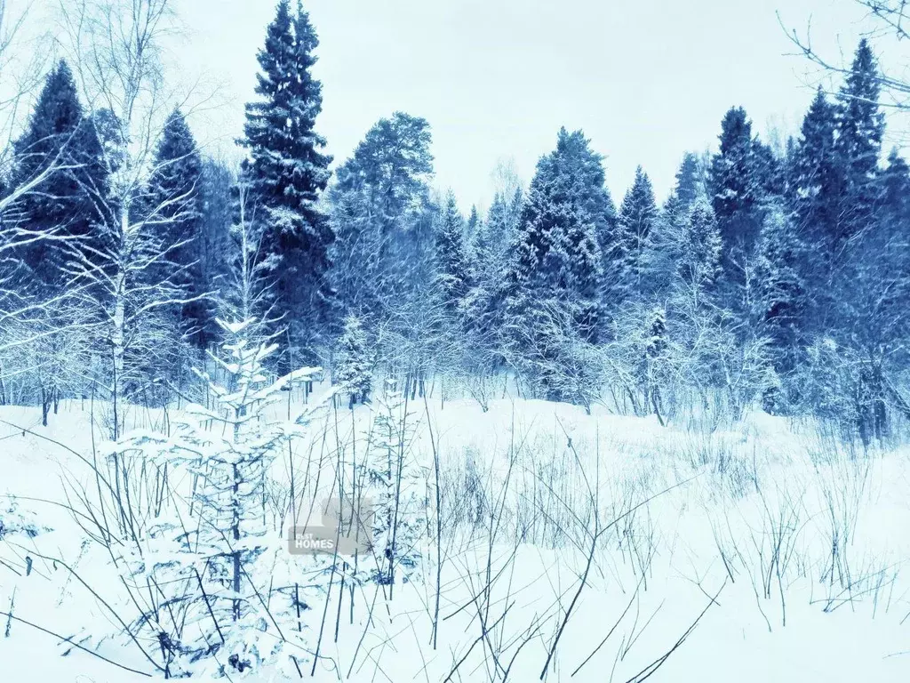 Участок в Московская область, Наро-Фоминский городской округ, ... - Фото 2